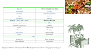 https://www.botanical-online.com/plantas-medicinales/preparaciones-externo-vahos-gargarismos-enjuagues
 