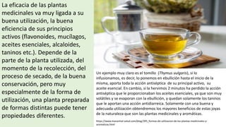 La eficacia de las plantas
medicinales va muy ligada a su
buena utilización, la buena
eficiencia de sus principios
activos (flavonoides, mucílagos,
aceites esenciales, alcaloides,
taninos etc.). Depende de la
parte de la planta utilizada, del
momento de la recolección, del
proceso de secado, de la buena
conservación, pero muy
especialmente de la forma de
utilización, una planta preparada
de formas distintas puede tener
propiedades diferentes.
Un ejemplo muy claro es el tomillo (Thymus vulgaris), si lo
infusionamos, es decir, lo ponemos en ebullición hasta el inicio de la
misma, aporta toda la acción antiséptica de su principal activo, su
aceite esencial. En cambio, si la hervimos 2 minutos ha perdido la acción
antiséptica que le proporcionaban los aceites esenciales, ya que son muy
volátiles y se evaporan con la ebullición, y quedan solamente los taninos
que le aportan una acción antidiarreica. Solamente con una buena y
adecuada utilización obtendremos los mayores beneficios de estas joyas
de la naturaleza que son las plantas medicinales y aromáticas.
https://www.manantial-salud.com/blog/395_formas-de-utilizacion-de-las-plantas-medicinales-y-
aromaticas.html
 