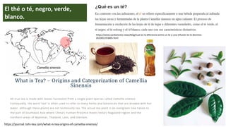 https://www.cardamomo.news/blog/Cual-es-la-diferencia-entre-un-te-y-una-infusion-te-lo-decimos-
20230519-0005.html
https://journal.rishi-tea.com/what-is-tea-origins-of-camellia-sinensis/
El thé o té, negro, verde,
blanco.
 
