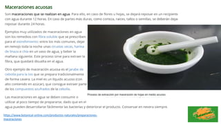 https://www.botanical-online.com/productos-naturales/preparaciones-
maceraciones
 