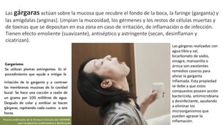 Las gárgaras actúan sobre la mucosa que recubre el fondo de la boca, la faringe (garganta) y
las amígdalas (anginas). Limpian la mucosidad, los gérmenes y los restos de células muertas y
de toxinas que se depositan en esa zona en caso de irritación, de inflamación o de infección.
Tienen efecto emoliente (suavizante), antiséptico y astringente (secan, desinflaman y
cicatrizan).
Las gárgaras realizadas con
agua tibia y sal,
bicarbonato de sodio,
vinagre, manzanilla o
árnica son excelentes
remedios caseros para
aliviar la garganta
inflamada. Esta propiedad
se debe a que estos
compuestos poseen acción
bactericida, antimicrobiana
y desinfectante, ayudando
a eliminar los
microorganismos que
pueden agravar la
inflamación.
 