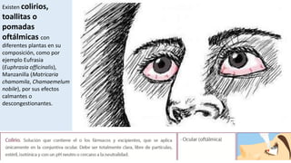 Existen colirios,
toallitas o
pomadas
oftálmicas con
diferentes plantas en su
composición, como por
ejemplo Eufrasia
(Euphrasia officinalis),
Manzanilla (Matricaria
chamomila, Chamaemelum
nobile), por sus efectos
calmantes o
descongestionantes.
 