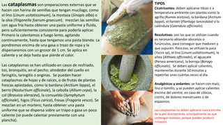 Las cataplasmas son preparaciones externas que se
hacen con harina de semillas que tengan mucílago, como
el lino (Linum usitatissimum), la mostaza (Sinapis alba) o
la olva (Trigonella foerum-graecum). mezclan las semillas
con agua fría hasta obtener una pasta uniforme y fluida,
pero suficientemente consistente para poderla aplicar.
Primero la calentamos a fuego lento, agitando
continuamente, hasta que tengamos una pasta blanda. La
pondremos encima de una gasa o trozo de ropa y la
dispersaremos con un grosor de 1 cm. Se aplica en
caliente y se deja hasta que pierde el calor.
Las cataplasmas se han utilizado en casos de resfriado,
tos, bronquitis, en el pecho; alrededor del cuello en
faringitis, laringitis o anginas. Se pueden hacer
cataplasmas de hojas y de raíces, o de frutas de plantas
frescas aplastadas, como la bardana (Arctium lappa), el
berro (Nasturtium officinale), la cebolla (Allium cepa), la
col (Brassica oleracea), la consuelda (Symphytum
officinale), higos (Ficus carica), fresas (Fragaria vesca). Se
mezclan en un mortero, hasta obtener una pasta
uniforme que se dispersa sobre un trapo o gasa un poco
caliente (se puede calentar previamente con una
plancha).
TIPOS
Cicatrizantes: deben aplicarse tibias o a
temperatura ambiente con plantas como la
agrilla (Rumex acetosa), la bardana (Arctium
lappa), el llantén (Plantago lanceolata) o la
caléndula (Calendula officinalis).
Resolutivas: son las que se utilizan cuando
es necesario ablandar abscesos o
furúnculos, para conseguir que maduren y
que supuren. Para eso, se utilizan la yuca
(Yucca sp), el lino (Linum usitatissimum), la
altea (Althaea officinalis), el aguacate
(Persea americana), la borraja (Borago
officinalis). Se deben aplicar calientes,
mantenerlas durante 10 minutos y
repetirlas unas cuántas veces al día.
Analgésicas y sedantes: se hacen con maíz,
lino o tomillo, y se pueden aplicar calientes
encima del vientre, en caso de cólicos,
cistitis, de dolores menstruales o de
espasmos.
Las cataplasmas no deben aplicarse nunca encima
de la piel directamente, principalmente las que
contengan mostaza, porque pueden producir
irritación.
 