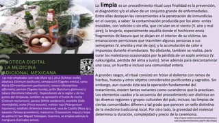 La limpia es un procedimiento ritual cuya finalidad es la prevención,
el diagnóstico y/o el alivio de un conjunto grande de enfermedades.
Entre ellas destacan las concernientes a la penetración de inmundicias
en el cuerpo, a saber: la contaminación producida por los aires -entes
invisibles, con volición o sin ella, que circulan en el viento (V. aire y mal
aire); la brujería, especialmente aquélla donde el hechicero envía
fragmentos de basura que se alojan en el interior de su víctima; las
emanaciones perniciosas que trasmiten algunas personas a sus
semejantes (V. envidia y mal de ojo); y la acumulación de calor e
impurezas durante el embarazo. No obstante, también se realiza, para
curar los malestares ocasionados por la pérdida de un soplo anímico (V.
naksungaba, pérdida del alma y susto). Sirve además para descontaminar
una casa, un huerto e incluso una comunidad entera.
A grandes rasgos, el ritual consiste en frotar al doliente con ramos de
hierbas, huevos y otros objetos considerados purificantes y sagrados. Sin
embargo, aun cuando ésta sea la operación fundamental del
tratamiento, existen tantas variantes como curanderos que la practican.
Los elementos usados y la secuencia del procedimiento son distintas en
las diversas regiones y grupos culturales del país; incluso, las limpias de
ciertas comunidades difieren a tal grado que parecen un sello distintivo
de la medicina tradicional local. Por otro lado, la gravedad del malestar
determina la duración, complejidad y precio de la ceremonia.
http://www.medicinatradicionalmexicana.u
nam.mx/demtm/termino.php?l=1&t=limpia
Las más empleadas son ruda (Ruta sp.), pirul (Schinus molle),
albahaca (Ocimum basilicum), cempazúchil (Tagetes erecta), santa
María (Chrysanthemum parthenium), romero (Rosmarinus
officinalis), pericón (Tagetes lucida), jarilla (Baccharis glutinosa) y
tabaco (Nicotiana tabacum) . Dependiendo de la región y de los
gustos del terapeuta, también se aprovecha el huele de noche
(Cestrum nocturnum), paraíso (Melia azedarach), escobilla (Sida
rhombifolia), ocote (Pinus teocote), malvón rojo (Pelargonium
inquinans), estafiate (Artemisia mexicana), rosa de Castilla (Rosa sp.),
epazote (Teloxys graveolens), mastuerzo (Tropaeolum majus) y hojas
de palma En San Miguel Totolapan, Guerrero, se emplea además la
mariguana (Cannabis sativa).
 