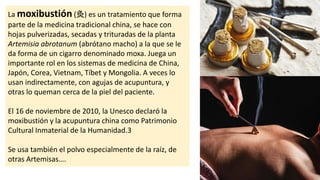 La moxibustión (灸) es un tratamiento que forma
parte de la medicina tradicional china, se hace con
hojas pulverizadas, secadas y trituradas de la planta
Artemisia abrotanum (abrótano macho) a la que se le
da forma de un cigarro denominado moxa. Juega un
importante rol en los sistemas de medicina de China,
Japón, Corea, Vietnam, Tíbet y Mongolia. A veces lo
usan indirectamente, con agujas de acupuntura, y
otras lo queman cerca de la piel del paciente.
El 16 de noviembre de 2010, la Unesco declaró la
moxibustión y la acupuntura china como Patrimonio
Cultural Inmaterial de la Humanidad.3
Se usa también el polvo especialmente de la raíz, de
otras Artemisas….
 