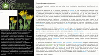 se han identificado en flor sesquiterpenos (cadaleno, trihidro-
cadaleno, 4-metoxi-iso-cadapeno, calacoreno y epóxido de
cariofileno), flavoides (astragalín, cariatín, étermetilico,
éterdimetilico de eriodictiol, lutelín. tetrametil-éter de
quercetagenín, quercetín dimetil-éter, trimetil, y el tetrametil-
éter, alfa-arabinósido, beta-glucurónido y beta-glucurónido-
dimetil-éster de quercetín, iso-quercetín, rutín y trifolín);
componentes fenólicos (ac. cafeico, clorogénico y
protocatéquico; la cumarina umbeliferona; los triterpenos alfa-
y beta-amirina, cicloartenol y lanosterol; esteroides
avenastenol, campesterol, y metilene-colestenol colesterol,
beta-sitosterol, alfa-espinasterol, estigmastenol, estigmastanol
y estigmasterol; y sesquiterpenos 2-3-epoxi-7-hidroxi-beta-
calacoreno y 4 hidroxi-2-iso-propil-4-7-dimetil-nafa-talenona. En
las partes aéreas se han detectado los sesquiterpenos cadaleno
y 4-hidroxi-2-iso-propil-4-7-dimetil-naftalenona y el flavonoide
quercetín.
 