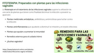 https://www.botanical-online.com/plantas-
medicinales/infecciones-vagina-remedios
 