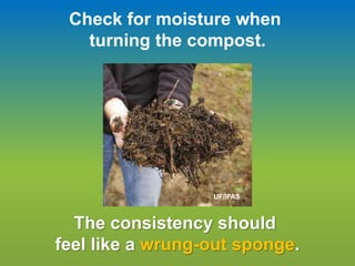 Check for moisture when
turning the compost.
The consistency should
feel like a wrung-out sponge.
UF/IFAS
 