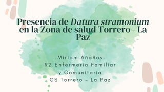 Presencia de Datura stramonium
en la Zona de salud Torrero - La
Paz
- M i r i a m A ñ a ñ o s -
R 2 E n f e r m e r í a F a m i l i a r
y C o m u n i t a r i a
C S T o r r e r o - L a P a z
 