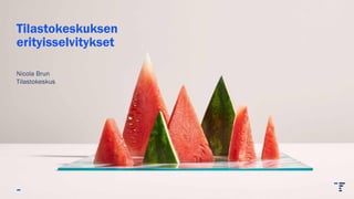 Tilastokeskuksen
erityisselvitykset
Nicola Brun
Tilastokeskus
 