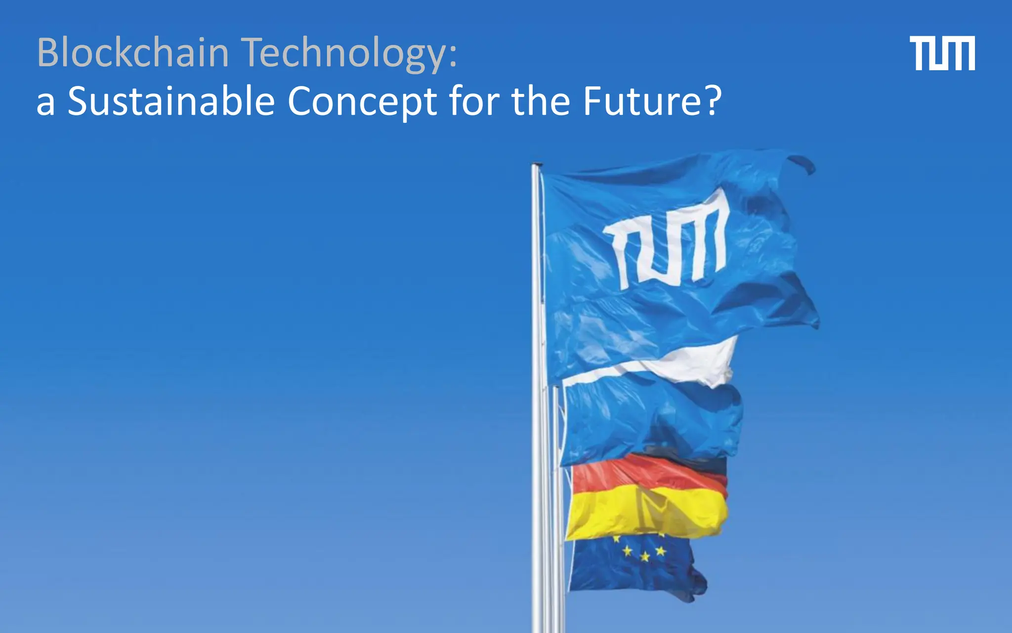 Blockchain Technology:
a Sustainable Concept for the Future?
 