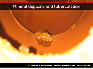 Mineral deposits and tuberculation
 