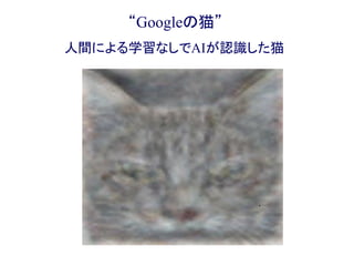 “Googleの猫”
人間による学習なしでAIが認識した猫
 