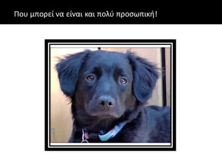 Που μπορεί να είναι και πολύ προσωπική!
 