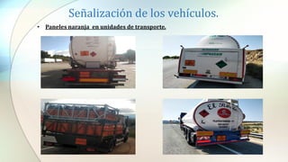 Señalización de los vehículos.
• Paneles naranja en unidades de transporte.
 