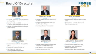 Board Of Directors
14
JAMIE SOKALSKY
Chairman
▷ Currently, Director of Agnico Eagle Mines
and Royal Gold
▷ Former President and CEO
of Barrick Gold Corporation (2012-2014)
▷ Former CFO of Barrick Gold Corporation
(1999 to 2012)
GORD MCCREARY
Director
▷ Former Director of Probe Mines (2012
to 2015)
▷ Former CEO of Newcastle Gold and
Baffinland Iron Mines
▷ Founding Officer of Kinross Gold
▷ Former Director of Probe Mines (2001 to
2015)
▷ Founder of Peterson McVicar LLP
▷ Has 25 years of experience
as a corporate securities lawyer
DENNIS PETERSON
Director
BASIL HAYMANN
Director
▷ Former Director of Probe Mines (2013 to
2015)
▷ Entrepreneur, currently Chairman of
FabriTec Structures LLC
JAMIE HORVAT
Director
▷ Former Director, Global Equities, for a
large U.K. based Asset Manager
▷ CIO Oberon Capital Corporation
▷ Director, Troilus Gold Corp
ALEKSANDRA BUKACHEVA
Director
▷ Former Director, Battle North Gold
▷ Former EVP Corp. Development
Element 29 Resources
▷ Former Analyst, BMO Capital Markets
 