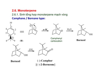 2023. terpenoids K33.pdf