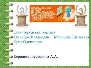 Звенигородська Богдана
Кузнецов Владислав Малишко Єлизавета
Цепа Олександр
Керівник: Бессонова А.А.
 