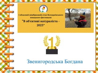 Звенигородська Богдана
 