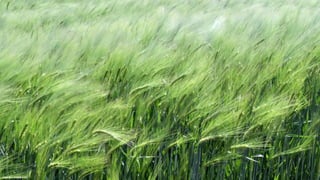 이미지 출처: 마이크로소프트
 