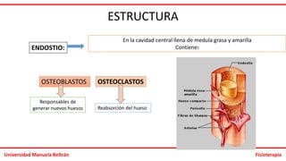 BIOMECÁNICA DEL HUESO clase de biomecanica | PPTX