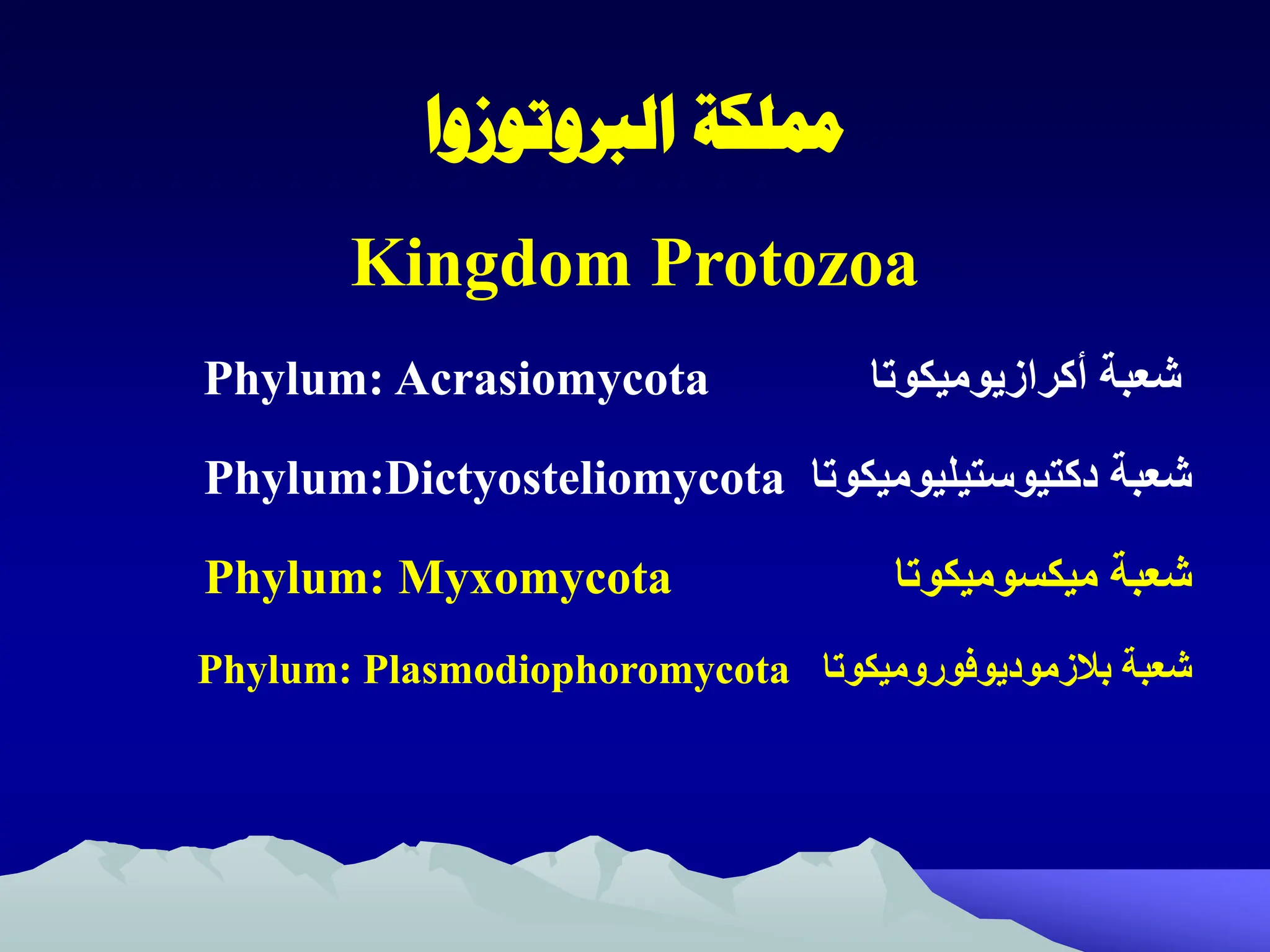 ‫مملكة‬
‫الربوتوزوا‬
Kingdom Protozoa
‫شعبة‬
‫أكرازيوميكوتا‬
Phylum: Acrasiomycota
‫شعبة‬
‫دكتيوستيليوميكوتا‬
Phylum:Dictyosteliomycota
‫شعبة‬
‫ميكسوميكوتا‬
Phylum: Myxomycota
‫شعبة‬
‫بالزموديوفوروميكوتا‬
Phylum: Plasmodiophoromycota
 