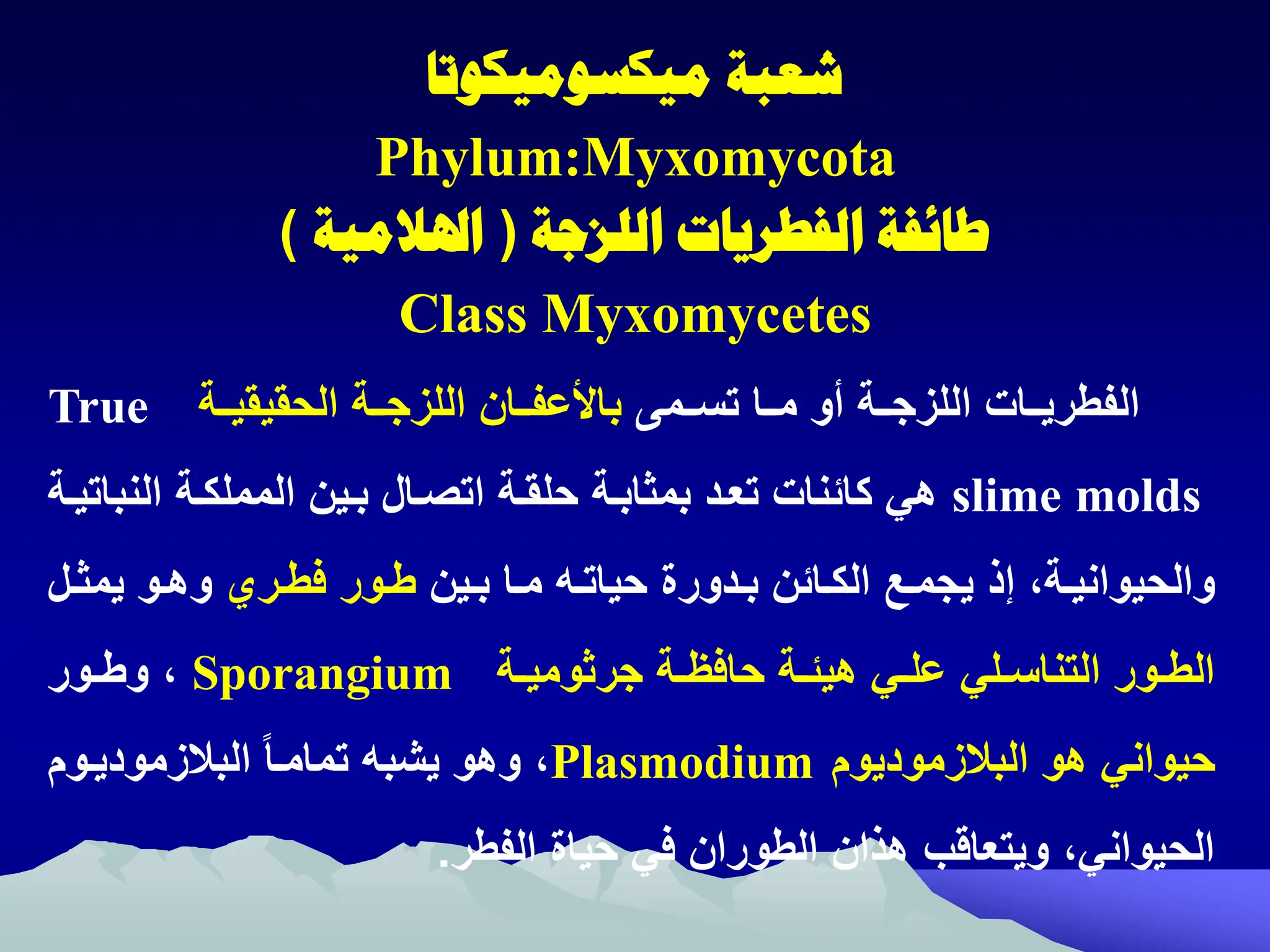 ‫شعبة‬
‫ميكسوميكوتا‬
Phylum:Myxomycota
‫اللزجة‬ ‫الفطريات‬ ‫طائفة‬
(
‫اهلالمية‬
)
Class Myxomycetes
‫اامى‬ ‫ت‬ ‫مااا‬ ‫او‬ ‫اللةجاا‬ ‫الفطريااات‬
‫الحةيةياا‬ ‫اللةجاا‬ ‫باألعفااان‬
True
slime molds
‫النب‬ ‫المملكا‬ ‫باين‬ ‫اتصاال‬ ‫حلةا‬ ‫بماابا‬ ‫تعاد‬ ‫كائنات‬ ‫هي‬
‫اتيا‬
‫اين‬‫ا‬‫ب‬ ‫اا‬‫ا‬‫م‬ ‫ا‬‫ا‬‫حيات‬ ‫ادورم‬‫ا‬‫ب‬ ‫اائن‬‫ا‬‫الك‬ ‫اك‬‫ا‬‫يجم‬ ‫ذ‬ ‫إ‬ ‫ا‬‫ا‬‫والحيواني‬
‫اري‬‫ا‬‫رط‬ ‫اور‬‫ا‬‫ط‬
‫ا‬‫ا‬‫يما‬ ‫او‬‫ا‬‫وه‬
‫ل‬
‫ا‬‫ا‬‫جراومي‬ ‫ا‬‫ا‬‫حاري‬ ‫ا‬‫ا‬‫هيئ‬ ‫اي‬‫ا‬‫عل‬ ‫الي‬‫ا‬ ‫التنا‬ ‫اور‬‫ا‬‫الط‬
Sporangium
‫اور‬‫ا‬‫وط‬ ‫إ‬
‫البالةموديوم‬ ‫هو‬ ‫حيواني‬
Plasmodium
‫البالةمودياوم‬ ‫تماماا‬ ‫يشب‬ ‫وهو‬ ‫إ‬
‫الفطر‬ ‫حيام‬ ‫ري‬ ‫الطوران‬ ‫هذان‬ ‫ويتعاقب‬ ‫الحيوانيإ‬
.
 