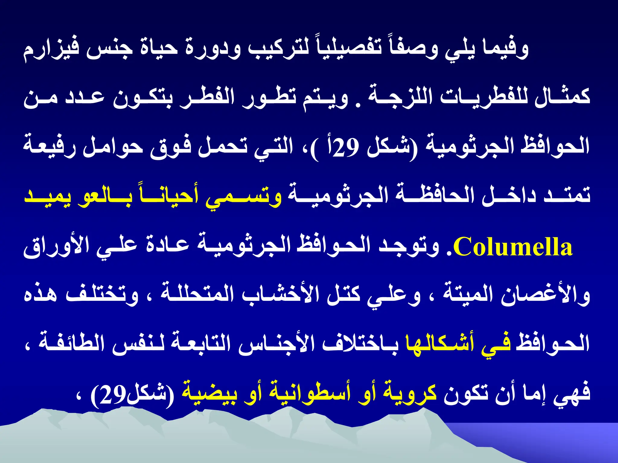 ‫تفص‬ ً‫ا‬‫وصف‬ ‫يلي‬ ‫وفيما‬
‫ي‬
‫حياة‬ ‫ودورة‬ ‫لتركيب‬ ً‫ا‬‫لي‬
‫جنظ‬
‫فيزارم‬
‫تتة‬‫ت‬‫اللزج‬ ‫تتات‬‫ت‬‫للفطري‬ ‫تتال‬‫ت‬‫كمث‬
.
‫تتن‬‫ت‬‫م‬ ‫تتدد‬‫ت‬‫ع‬ ‫تتون‬‫ت‬‫بتك‬ ‫تتر‬‫ت‬‫الفط‬ ‫تتور‬‫ت‬‫تط‬ ‫تتتم‬‫ت‬‫وي‬
‫الجرثومية‬ ‫الحواف‬
(
‫شتكل‬
29
‫أ‬
)
‫رفيعتة‬ ‫حوامتل‬ ‫فتوت‬ ‫تحمتل‬ ‫التتي‬ ‫ه‬
‫تتتة‬‫ت‬‫الجرثومي‬ ‫تتتة‬‫ت‬‫الحافظ‬ ‫تتتل‬‫ت‬‫داخ‬ ‫تتتد‬‫ت‬‫تمت‬
ً‫ا‬‫تتت‬‫ت‬‫أحيان‬ ‫تتتمي‬‫ت‬‫وتس‬
‫تتتالعو‬‫ت‬‫ب‬
‫تتتد‬‫ت‬‫يمي‬
Columella
.
‫ااورات‬ ‫تي‬‫ت‬‫عل‬ ‫تادة‬‫ت‬‫ع‬ ‫تة‬‫ت‬‫الجرثومي‬ ‫تواف‬‫ت‬‫الح‬ ‫تد‬‫ت‬‫وتوج‬
‫هت‬ ‫وتختلتف‬ ‫ه‬ ‫المتحللتة‬ ‫ااخشتام‬ ‫كتتل‬ ‫وعلتي‬ ‫ه‬ ‫الميتة‬ ‫وااغصان‬
‫ذ‬
‫تواف‬‫ت‬‫الح‬
‫تكالها‬‫ت‬‫أش‬ ‫تي‬‫ت‬‫ف‬
‫الطائ‬ ‫تنفظ‬‫ت‬‫ل‬ ‫تة‬‫ت‬‫التابع‬ ‫تا‬‫ت‬‫ااجن‬ ‫تاختالف‬‫ت‬‫ب‬
‫ه‬ ‫تة‬‫ت‬‫ف‬
‫تكون‬ ‫أن‬ ‫إما‬ ‫فهي‬
‫بيض‬ ‫أو‬ ‫أسطوانية‬ ‫أو‬ ‫كروية‬
‫ي‬
‫ة‬
(
‫شكل‬
29
)
‫ه‬
 