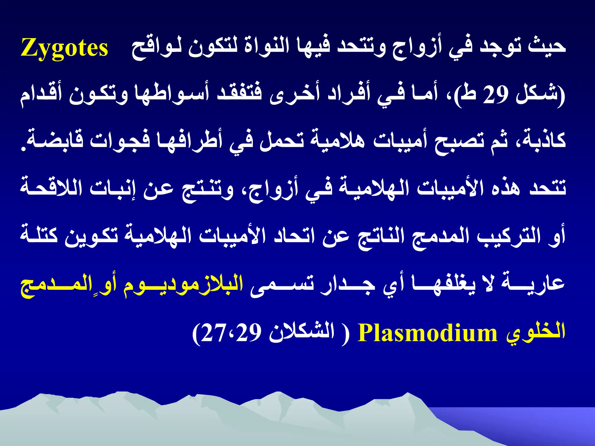 ‫لتواقح‬ ‫لتكون‬ ‫النواة‬ ‫فيها‬ ‫وتتحد‬ ‫أزواج‬ ‫في‬ ‫توجد‬ ‫حيث‬
Zygotes
(
‫تكل‬‫ت‬‫ش‬
29
)
‫تدام‬‫ت‬‫أق‬ ‫تون‬‫ت‬‫وتك‬ ‫ها‬ ‫توا‬‫ت‬‫أس‬ ‫تد‬‫ت‬‫فتفق‬ ‫تر‬‫ت‬‫أخ‬ ‫تراد‬‫ت‬‫أف‬ ‫تي‬‫ت‬‫ف‬ ‫تا‬‫ت‬‫أم‬ ‫ه‬
‫قا‬ ‫فجتوات‬ ‫رافهتا‬ ‫أ‬ ‫في‬ ‫تحمل‬ ‫هالمية‬ ‫أميبات‬ ‫تصبح‬ ‫ثم‬ ‫كاذبةه‬
‫بضتة‬
.
‫هذ‬ ‫تتحد‬
‫ااميبات‬
‫الالق‬ ‫إنبتات‬ ‫عتن‬ ‫وتنتتج‬ ‫أزواجه‬ ‫فتي‬ ‫الهالميتة‬
‫حتة‬
‫اتحاد‬ ‫عن‬ ‫الناتج‬ ‫المدمج‬ ‫التركيب‬ ‫أو‬
‫ااميبات‬
‫تكتوين‬ ‫الهالمية‬
‫كتلتة‬
‫تتتت‬‫ت‬‫تس‬ ‫تتتتدار‬‫ت‬‫ج‬ ‫أي‬ ‫تتتتا‬‫ت‬‫يغلفه‬ ‫ال‬ ‫تتتتة‬‫ت‬‫عاري‬
‫مى‬
‫تتتتدمج‬‫ت‬‫مالم‬ ‫أو‬ ‫تتتتوم‬‫ت‬‫البالزمودي‬
‫الخلوي‬
Plasmodium
(
‫الشكالن‬
27‫ه‬29
)
 