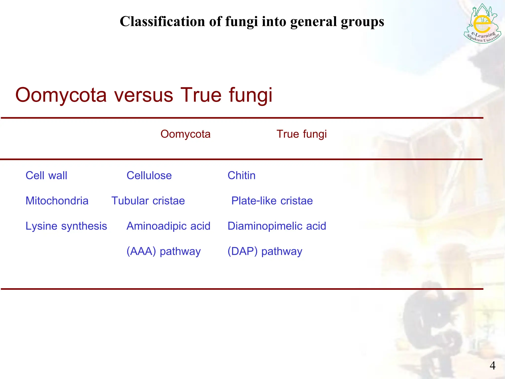 Classification of fungi into general groups
4
Oomycota True fungi
Cell wall Cellulose Chitin
Mitochondria Tubular cristae Plate-like cristae
Lysine synthesis Aminoadipic acid Diaminopimelic acid
(AAA) pathway (DAP) pathway
Oomycota versus True fungi
 