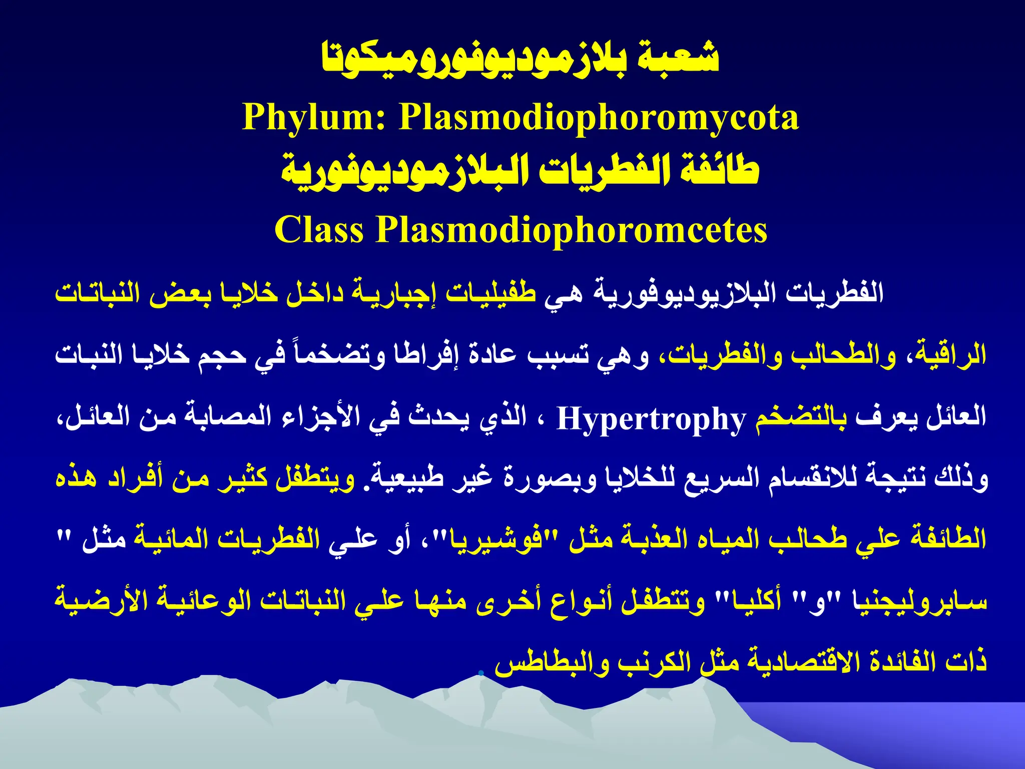 ‫شعبة‬
‫بالزموديوفوروميكوتا‬
Phylum: Plasmodiophoromycota
‫الفطريات‬ ‫طائفة‬
‫البالزموديوفورية‬
Class Plasmodiophoromcetes
‫الفطريات‬
‫البالزيوديوفورية‬
‫هتي‬
‫ال‬ ‫بعت‬ ‫خاليتا‬ ‫داختل‬ ‫إجباريتة‬ ‫فيليتات‬
‫نباتتات‬
‫الراقية‬
‫ه‬
‫والفطرياته‬ ‫والطحالب‬
‫خاليت‬ ‫حجم‬ ‫في‬ ً‫ا‬‫وتضخم‬ ‫ا‬ ‫إفرا‬ ‫عادة‬ ‫تسبب‬ ‫وهي‬
‫النبتات‬ ‫ا‬
‫يعرف‬ ‫العائل‬
‫بالتضخم‬
Hypertrophy
‫العائتله‬ ‫متن‬ ‫المصابة‬ ‫ااجزاء‬ ‫في‬ ‫يحدث‬ ‫الذي‬ ‫ه‬
‫بيعية‬ ‫غير‬ ‫وبصورة‬ ‫للخاليا‬ ‫السريع‬ ‫لالنقسام‬ ‫نتيجة‬ ‫وذلك‬
.
‫كثيت‬ ‫ويتطفل‬
‫هتذ‬ ‫أفتراد‬ ‫متن‬ ‫ر‬
‫الطائفة‬
‫علي‬
‫مثتل‬ ‫العذبتة‬ ‫الميتا‬ ‫حالتب‬
"
‫فوشتيريا‬
"
‫أو‬ ‫ه‬
‫علتي‬
‫المائيتة‬ ‫الفطريتات‬
‫م‬
‫ثتل‬
"
‫تابروليجني‬‫ت‬‫س‬
‫ا‬
"
‫و‬
"
‫تا‬‫ت‬‫أكلي‬
"
‫تر‬‫ت‬‫أخ‬ ‫توام‬‫ت‬‫أن‬ ‫تل‬‫ت‬‫وتتطف‬
‫تا‬‫ت‬‫منه‬
‫تي‬‫ت‬‫عل‬
‫اا‬ ‫تة‬‫ت‬‫الوعائي‬ ‫تات‬‫ت‬‫النبات‬
‫تية‬‫ت‬‫رض‬
‫ظ‬ ‫والبطا‬ ‫الكرنب‬ ‫مثل‬ ‫االقتصادية‬ ‫الفائدة‬ ‫ذات‬
.
 