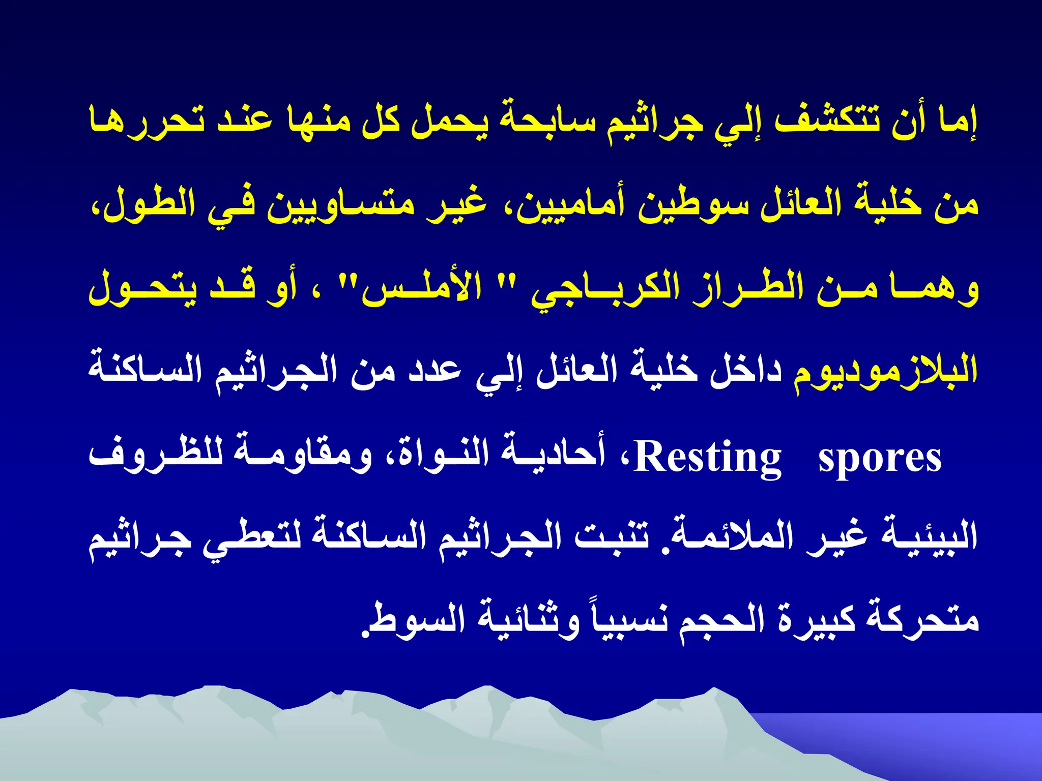 ‫تحر‬ ‫عنتد‬ ‫منها‬ ‫كل‬ ‫يحمل‬ ‫سابحة‬ ‫جراثيم‬ ‫إلي‬ ‫تتكشف‬ ‫أن‬ ‫إما‬
‫رهتا‬
‫ال‬ ‫فتي‬ ‫متستاويين‬ ‫غيتر‬ ‫أماميينه‬ ‫ين‬ ‫سو‬ ‫العائل‬ ‫خلية‬ ‫من‬
‫طتوله‬
‫الطتتتراز‬ ‫متتتن‬ ‫وهمتتتا‬
‫الكربتتتاجي‬
"
‫ااملتتتظ‬
"
‫يتحتتتول‬ ‫قتتتد‬ ‫أو‬ ‫ه‬
‫البالزموديوم‬
‫الست‬ ‫الجتراثيم‬ ‫من‬ ‫عدد‬ ‫إلي‬ ‫العائل‬ ‫خلية‬ ‫داخل‬
‫اكنة‬
Resting spores
‫تتروف‬‫ت‬‫للظ‬ ‫تتة‬‫ت‬‫ومقاوم‬ ‫تتواةه‬‫ت‬‫الن‬ ‫تتة‬‫ت‬‫أحادي‬ ‫ه‬
‫تة‬‫ت‬‫المالئم‬ ‫تر‬‫ت‬‫غي‬ ‫تة‬‫ت‬‫البيئي‬
.
‫تي‬‫ت‬‫لتعط‬ ‫تاكنة‬‫ت‬‫الس‬ ‫تراثيم‬‫ت‬‫الج‬ ‫تت‬‫ت‬‫تنب‬
‫تراثيم‬‫ت‬‫ج‬
‫السو‬ ‫وثنائية‬ ً‫ا‬‫نسبي‬ ‫الحجم‬ ‫كبيرة‬ ‫متحركة‬
.
 