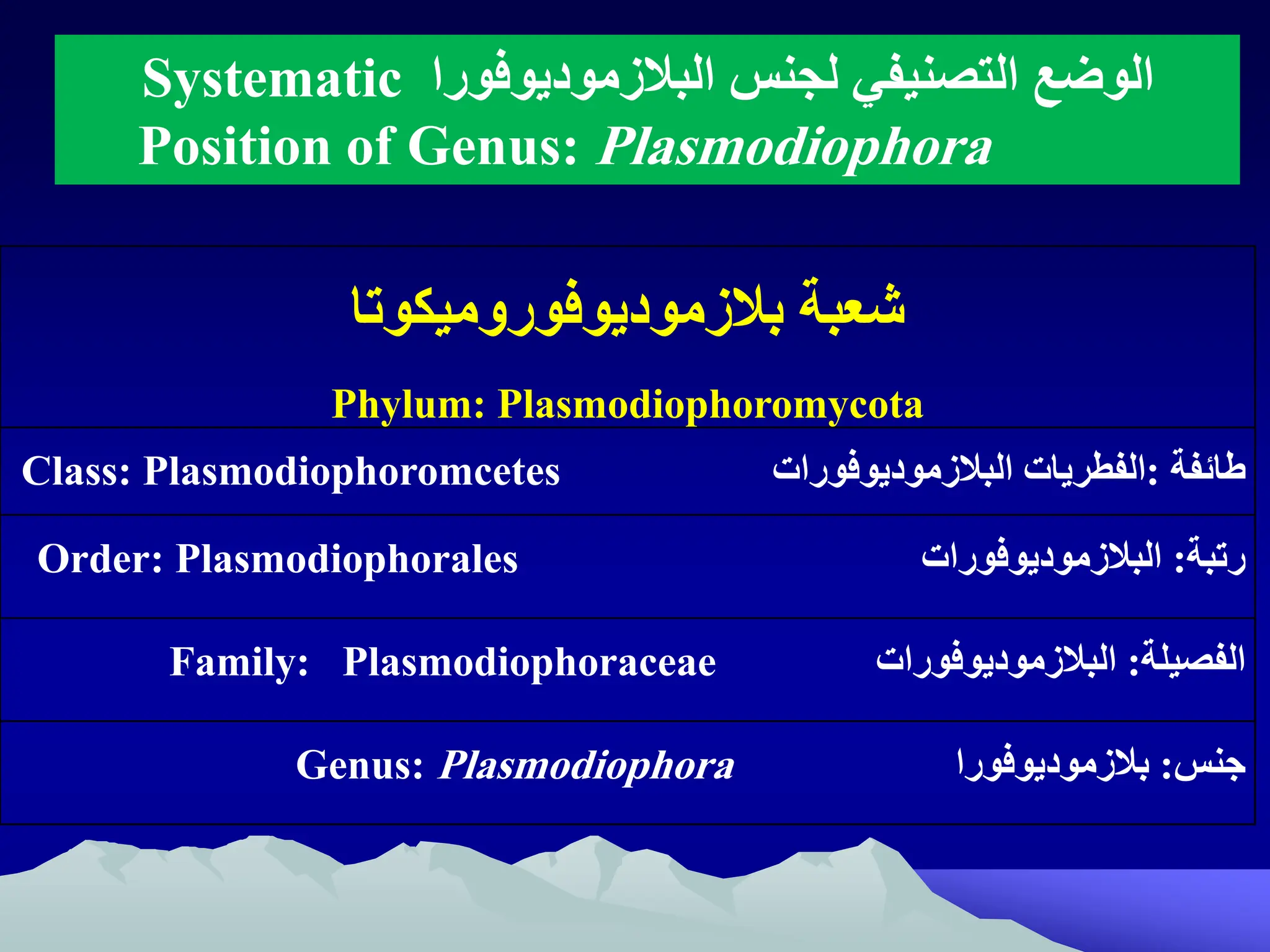 ‫شعبة‬
‫بالزموديوفوروميكوتا‬
Phylum: Plasmodiophoromycota
‫ائفة‬
:
‫الفطريات‬
‫البالزموديوفورات‬
Class: Plasmodiophoromcetes
‫رتبة‬
:
‫البالزموديوفورات‬
Order: Plasmodiophorales
‫الفصيلة‬
:
‫البالزموديوفورات‬
Plasmodiophoraceae
:
Family
‫جنظ‬
:
‫بالزموديوفورا‬
Genus: Plasmodiophora
‫لجنظ‬ ‫التصنيفي‬ ‫الوضع‬
‫البالزموديوفورا‬
Systematic
Position of Genus: Plasmodiophora
 