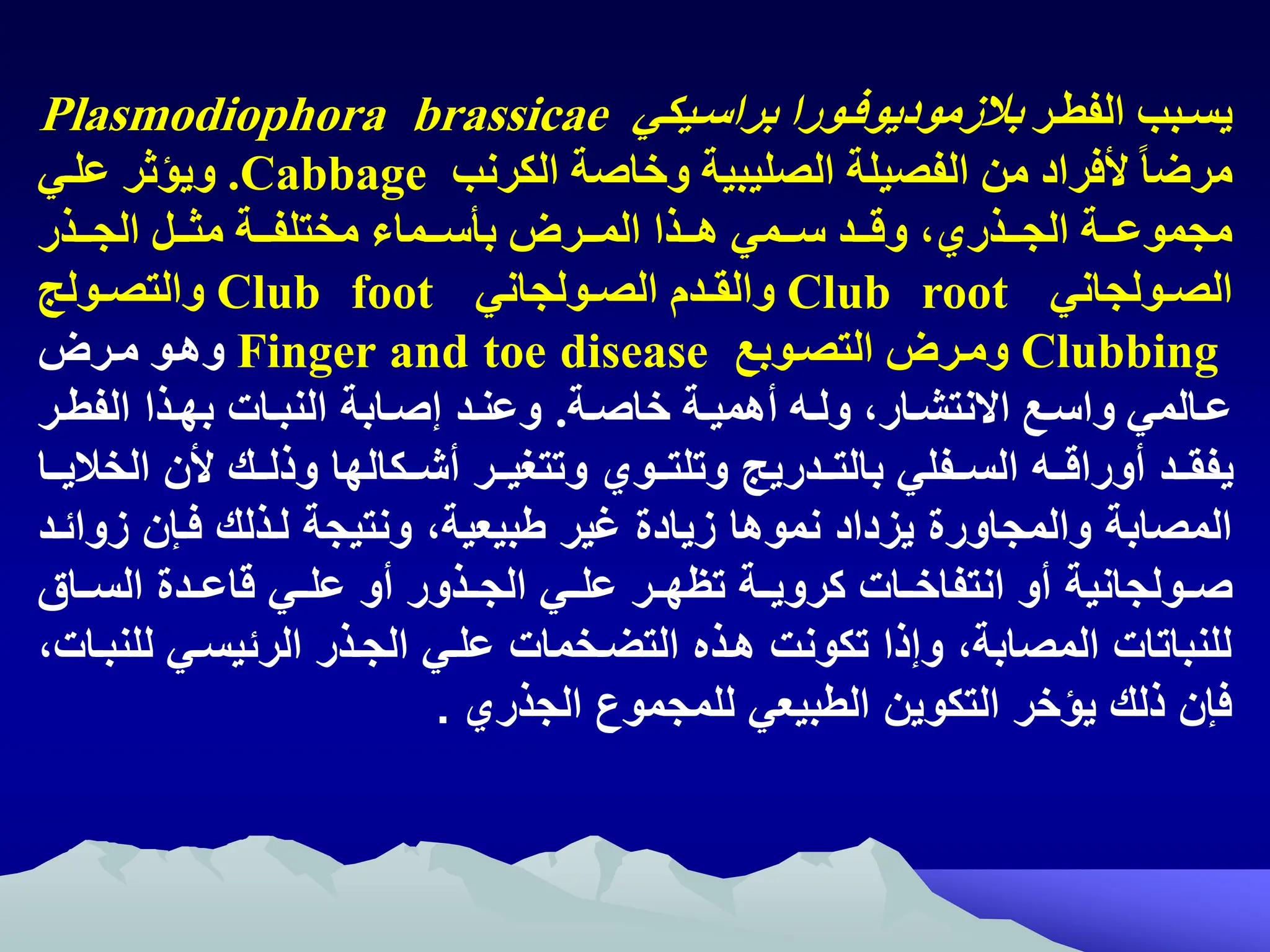 ‫تر‬‫ت‬‫الفط‬ ‫تبب‬‫ت‬‫يس‬
‫تورا‬‫ت‬‫بالزموديوف‬
‫تيكي‬‫ت‬‫براس‬
Plasmodiophora brassicae
‫الكرنب‬ ‫وخاصة‬ ‫الصليبية‬ ‫الفصيلة‬ ‫من‬ ‫افراد‬ ً‫ا‬‫مرض‬
Cabbage
.
‫علتي‬ ‫ويؤثر‬
‫تتذر‬‫ت‬‫الج‬ ‫تتل‬‫ت‬‫مث‬ ‫تتة‬‫ت‬‫مختلف‬ ‫تتماء‬‫ت‬‫بأس‬ ‫تترض‬‫ت‬‫الم‬ ‫تتذا‬‫ت‬‫ه‬ ‫تتمي‬‫ت‬‫س‬ ‫تتد‬‫ت‬‫وق‬ ‫تتذريه‬‫ت‬‫الج‬ ‫تتة‬‫ت‬‫مجموع‬
‫تولجاني‬‫ت‬‫الص‬
Club root
‫تدم‬‫ت‬‫والق‬
‫تولجاني‬‫ت‬‫الص‬
Club foot
‫تولج‬‫ت‬‫والتص‬
Clubbing
‫ومترض‬
‫التصتوبع‬
Finger and toe disease
‫مترض‬ ‫وهتو‬
‫تة‬‫ت‬‫خاص‬ ‫تة‬‫ت‬‫أهمي‬ ‫ته‬‫ت‬‫ول‬ ‫تاره‬‫ت‬‫االنتش‬ ‫تع‬‫ت‬‫واس‬ ‫تالمي‬‫ت‬‫ع‬
.
‫ار‬‫ا‬‫الفط‬ ‫اذا‬‫ا‬‫به‬ ‫اات‬‫ا‬‫النب‬ ‫ااب‬‫ا‬‫ص‬ ‫اد‬‫ا‬‫وعن‬
‫اشااك‬ ‫وتتغياار‬ ‫وتلتااوي‬ ‫بالتاادري‬ ‫اافلي‬ ‫ال‬ ‫اوراقاا‬ ‫يفةااد‬
‫ا‬
‫ا‬ ‫ألن‬ ‫وذلااك‬ ‫لها‬
‫لخاليااا‬
‫ة‬ ‫راإن‬ ‫لاذلك‬ ‫ونتيج‬ ‫إ‬ ‫طبيعي‬ ‫غير‬ ‫ةيادم‬ ‫نموها‬ ‫يةداد‬ ‫والمجاورم‬ ‫المصاب‬
‫وائاد‬
‫اولجاني‬‫ا‬‫ص‬
‫اال‬‫ا‬ ‫ال‬ ‫ادم‬‫ا‬‫قاع‬ ‫اي‬‫ا‬‫عل‬ ‫او‬ ‫اذور‬‫ا‬‫الج‬ ‫اي‬‫ا‬‫عل‬ ‫ار‬‫ا‬‫تيه‬ ‫ا‬‫ا‬‫كروي‬ ‫اات‬‫ا‬‫انتفاخ‬ ‫او‬
‫ل‬ ‫اي‬ ‫الرئي‬ ‫الجاذر‬ ‫علاي‬ ‫اخمات‬ ‫الت‬ ‫هاذه‬ ‫تكونت‬ ‫ذا‬ ‫و‬ ‫إ‬ ‫المصاب‬ ‫للنباتات‬
‫لنبااتإ‬
‫الجذري‬ ‫للمجمون‬ ‫الطبيعي‬ ‫التكوين‬ ‫يؤخر‬ ‫ذلك‬ ‫رإن‬
.
 