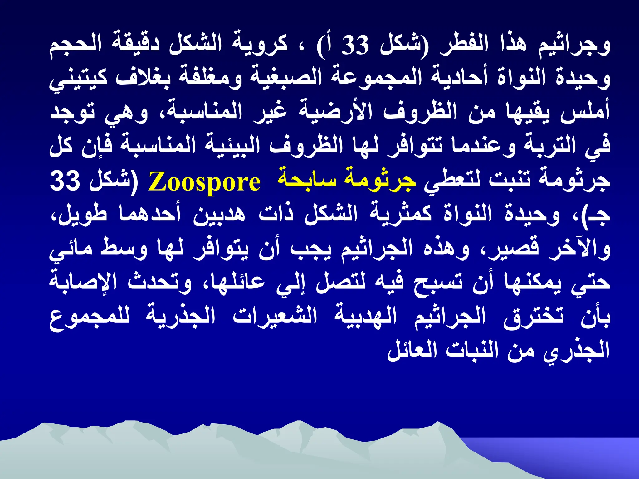 ‫وجراثيم‬
‫هذا‬
‫الفطر‬
(
‫شكل‬
33
‫أ‬
)
‫ه‬
‫كروية‬
‫الشكل‬
‫دقيقة‬
‫الحجم‬
‫وحيدة‬
‫النواة‬
‫أحادية‬
‫المجموعة‬
‫الصبغية‬
‫ومغلفة‬
‫بغالف‬
‫كي‬
‫تيني‬
‫أملظ‬
‫يقيها‬
‫من‬
‫الظروف‬
‫اارضية‬
‫غير‬
‫المناسبةه‬
‫وهي‬
‫توج‬
‫د‬
‫في‬
‫التربة‬
‫وعندما‬
‫تتوافر‬
‫لها‬
‫الظروف‬
‫البيئية‬
‫المناسب‬
‫ة‬
‫فإن‬
‫كل‬
‫جرثومة‬
‫تنبت‬
‫لتعطي‬
‫جرثومة‬
‫سابحة‬
Zoospore
(
‫شكل‬
33
‫جـ‬
)
‫إ‬
‫وحيدم‬
‫النوام‬
‫كماري‬
‫الشكل‬
‫ذات‬
‫هدبين‬
‫احدهما‬
‫طويلإ‬
‫واآلخر‬
‫قصيرإ‬
‫وهذه‬
‫الجراايم‬
‫يجب‬
‫ان‬
‫يتوارر‬
‫لها‬
‫ط‬ ‫و‬
‫ما‬
‫ئي‬
‫حتي‬
‫يمكنها‬
‫ان‬
‫بح‬ ‫ت‬
‫ري‬
‫لتصل‬
‫لي‬
‫عائلهاإ‬
‫وتحدث‬
‫اإل‬
‫صاب‬
‫بأن‬
‫تخترل‬
‫الجراايم‬
‫الهدبي‬
‫الشعيرات‬
‫الجذري‬
‫للمجمو‬
‫ن‬
‫الجذري‬
‫من‬
‫النبات‬
‫العائل‬
 