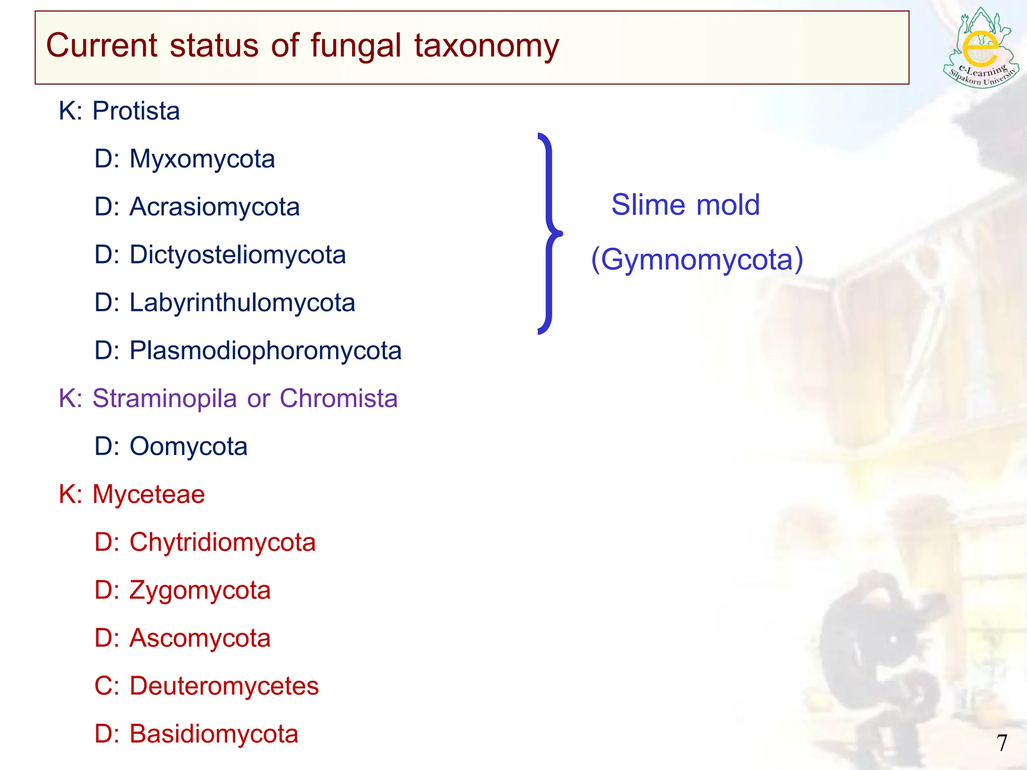 7
Current status of fungal taxonomy
K: Protista
D: Myxomycota
D: Acrasiomycota
D: Dictyosteliomycota
D: Labyrinthulomycota
D: Plasmodiophoromycota
K: Straminopila or Chromista
D: Oomycota
K: Myceteae
D: Chytridiomycota
D: Zygomycota
D: Ascomycota
C: Deuteromycetes
D: Basidiomycota
Slime mold
(Gymnomycota)
 