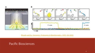 Pacific Biosciences
13
Rhoads and Au, Genomics, Proteomics & Bioinformatics, 13(5), Oct 2015
 
