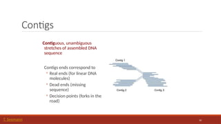 32
Contigs
Contiguous, unambiguous
stretches of assembled DNA
sequence
Contigs ends correspond to
◦ Real ends (for linear DNA
molecules)
◦ Dead ends (missing
sequence)
◦ Decision points (forks in the
road)
T. Seemann
 