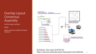 38
Overlap Layout
Consensus
Assembly
Used for longer read data
Sanger
Newer variants for PacBio and Oxford
Nanopore
By Estevezj - Own work, CC BY-SA 3.0,
https://commons.wikimedia.org/w/index.php?curid=23264166
 