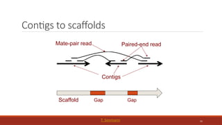 52
Contigs to scaffolds
Contigs
Paired-end read
Scaffold Gap Gap
Mate-pair read
T. Seemann
 