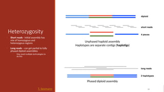 Heterozygosity
• Short reads - initial assembly has
mix of homozygous and
heterozygous regions
• Long reads – can get partial to fully
phased diploid assemblies
• May need multiple technologies to
do this
63
T. Seemann
Unphased haploid assembly
Haplotypes are separate contigs (haplotigs)
Phased diploid assembly
 