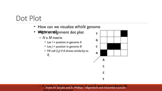 Dot Plot
• How can we visualize whole genome
alignments?
• With an alignment dot plot
– N x M matrix
• Let i = position in genome A
• Let j = position in genome B
• Fill cell (i,j) if Ai shows similarity to
Bj
T
G
C
A
A
C
C
T
– A perfect alignment between A and B would completely fill
From M. Schatz and A. Phillipy : Alignment and Assembly Lecture
 