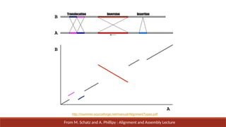 A
B
A
B
Translocation Inversion Insertion
http://mummer.sourceforge.net/manual/AlignmentTypes.pdf
From M. Schatz and A. Phillipy : Alignment and Assembly Lecture
 