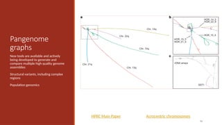 92
Pangenome
graphs
New tools are available and actively
being developed to generate and
compare multiple high quality genome
assemblies
Structural variants, including complex
regions
Population genomics
HPRC Main Paper Acrocentric chromosomes
 