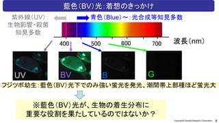 8
Copyright© Sessile Research Corporation.
藍色（BV）光：着想のきっかけ
波長（nm）
400 500 600 700
紫外線（UV）：
生物影響・殺菌
知見多数
青色（Blue）～：光合成等知見多数
e
フジツボ幼生：藍色（BV）光下でのみ強い蛍光を発光、潮間帯上部種ほど蛍光大
UV BV B G
※藍色（BV）光が、生物の着生分布に
重要な役割を果たしているのではないか？
 