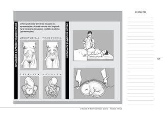 A Saúde de Adolescentes e Jovens - módulo básico
109
anotações
-MEDIDADEFUNDODEÚTERO
-SITUAÇÕESEAPRESENTAÇÕESFETAIS
O feto pode estar em várias situações ou
apresentações. As mais comuns são: longitudi-
nal e transversa (situações) e cefálica e pélvica
(apresentações).
L O N G I T U D I N A L T R A N S V E R S A
C E F Á L I C A P É L V I C A
 