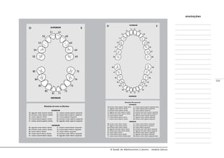 A Saúde de Adolescentes e Jovens - módulo básico
131
anotações
 