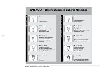 146
A Saúde de Adolescentes e Jovens – módulo básico
Pré-adolescência.
Aumento da bolsa escrotal
e dos testículos
sem aumento do pênis.
Aumento do pênis, inicialmente
em comprimento. Continua
o crescimento dos escrotos
e testículos.
Aumento do diâmetro
do pênis e da glande. Continua
o crescimento dos testículos e escro-
to, cuja pele escurece.
Tipo adulto
Fase pré-adolescência.
(não há pelugem)
Presença de pêlos
longos, finos,
ligeiramente pigmentados, principal-
mente na base do pênis.
Pêlos mais escuros encaracolados,
distribuindo-se na região pubiana.
Pelugem do tipo adulto,
mas a área coberta é
consideravelmente menor
do que no adulto.
Pelugem do tipo adulto, estenden-
do-se até a face interna das coxas.
GENITÁLIA
PÊLOSPUBIANOS
ANEXO A – Desenvolvimento Puberal Masculino
G1
G2 - 9 - 14 anos
G3 - 101/2
- 15 anos
G4 - 111/2
- 16 anos
G5 - 121/2
- 17 anos
P1
P2 - 11 - 151/2
anos
P3 - 111/2
- 16 anos
P4 - 12 - 161/2
anos
P5 - 15 - 17 anos
 