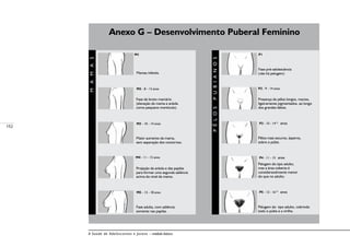 152
A Saúde de Adolescentes e Jovens – módulo básico
Mamas infantis.
Fase de broto mamário
(elevação da mama e aréola
como pequeno montículo).
Maior aumento da mama,
sem separação dos contornos.
Projeção da aréola e das papilas
para formar uma segunda saliência
acima do nível da mama.
Fase adulta, com saliência
somente nas papilas.
Fase pré-adolescência
(não há pelugem)
Presença de pêlos longos, macios,
ligeiramente pigmentados, ao longo
dos grandes lábios.
Pêlos mais escuros, ásperos,
sobre o púbis.
Pelugem do tipo adulto,
mas a área coberta é
consideravelmente menor
do que no adulto.
Pelugem do tipo adulto, cobrindo
todo o púbis e a virilha.
MAMAS
PÊLOSPUBIANOS
Anexo G – Desenvolvimento Puberal Feminino
M1
M2 - 8 - 13 anos
M3 - 10 - 14 anos
M4 - 11 - 15 anos
M5 - 13 - 18 anos
P1
P2 - 9 - 14 anos
P3 - 10 - 141/2
anos
P4 - 11 - 15 anos
P5 - 12 - 161/2
anos
 
