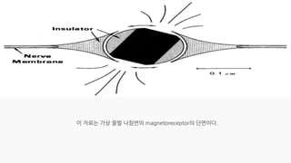 20230105_[강릉원주대 대기환경과학과] 2015년 1학기 전선 지구환경융합과학 과제물.pdf